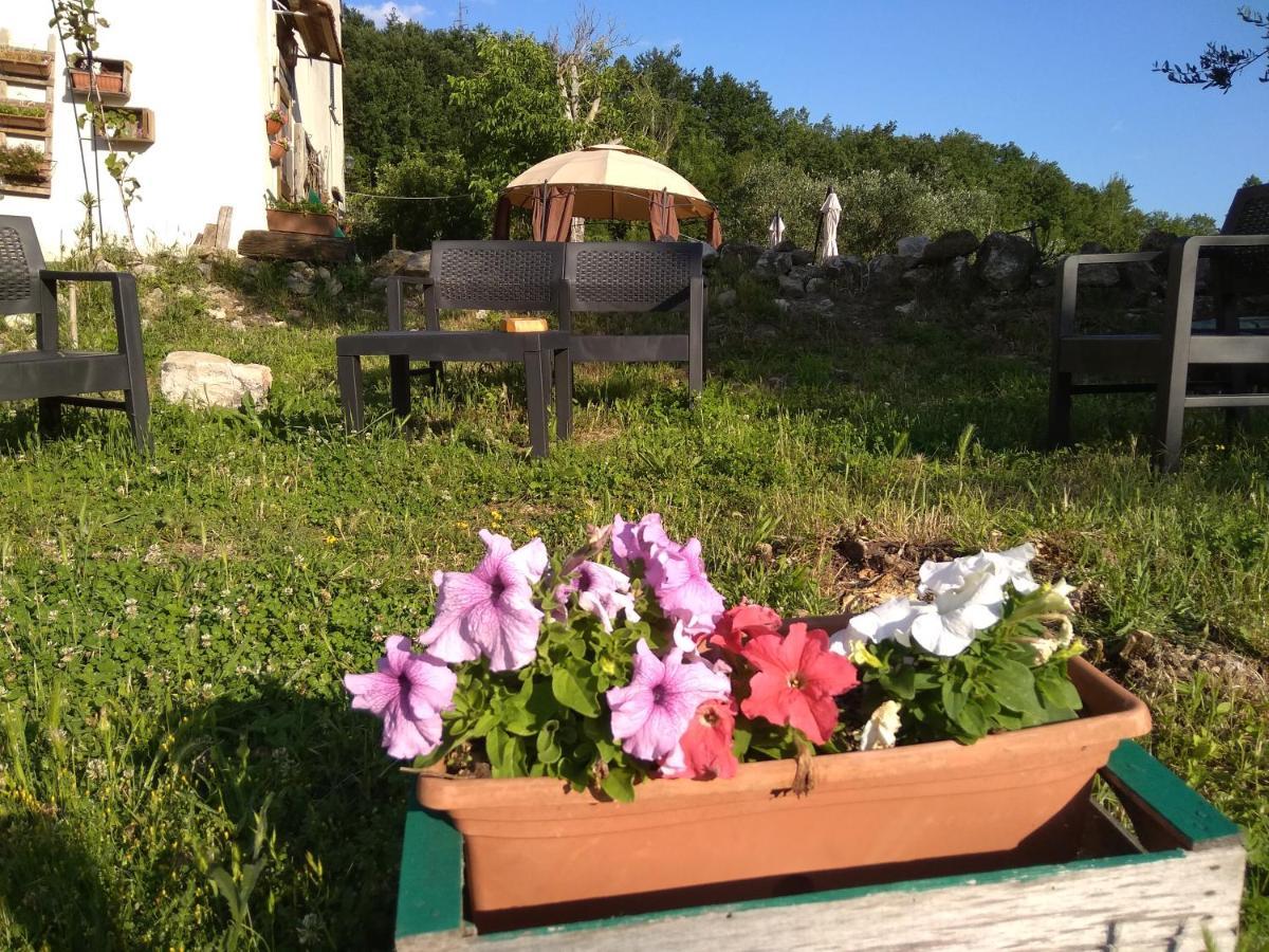 La Masseria Di Antonio E Teresina Colli a Volturno Εξωτερικό φωτογραφία